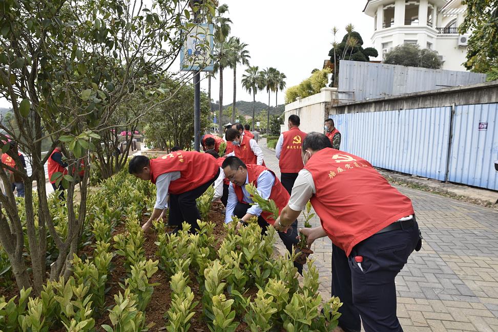 植樹(shù)節(jié).jpg 植樹(shù)節(jié).jpg